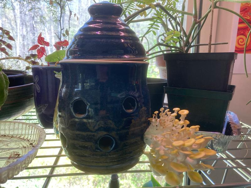 Blue pottery with mushrooms